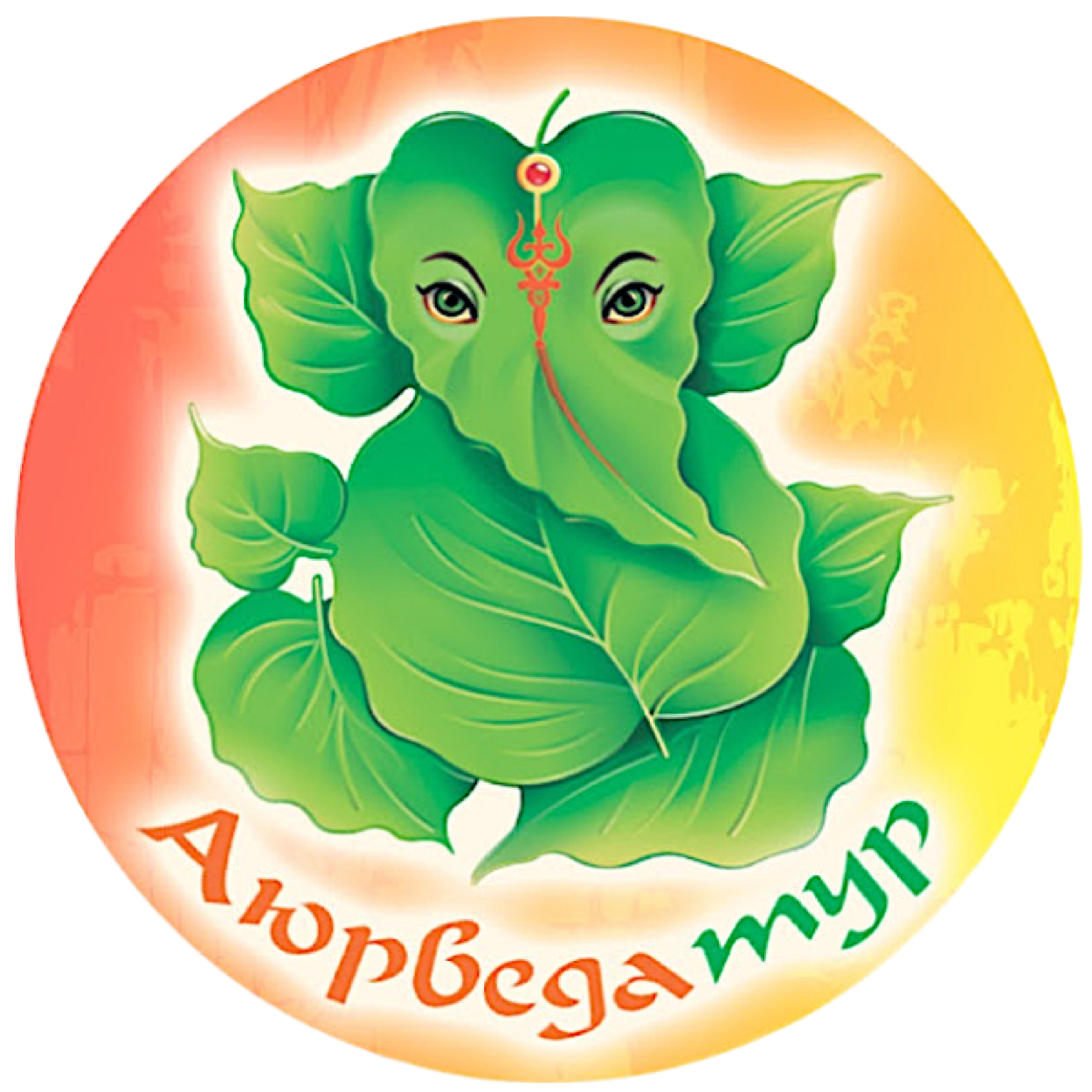 Аюрведа-Тур